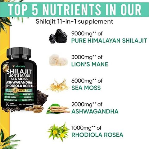 Adndale - Shilajit Puro do Himalaia Orgânico. 11 em 1 para Homens. Cápsulas de Shilajit com Sea Moss, Ashwagandha, Rhodiola Rosea, Panax Ginseng, Cúrcuma e Lion’s Mane