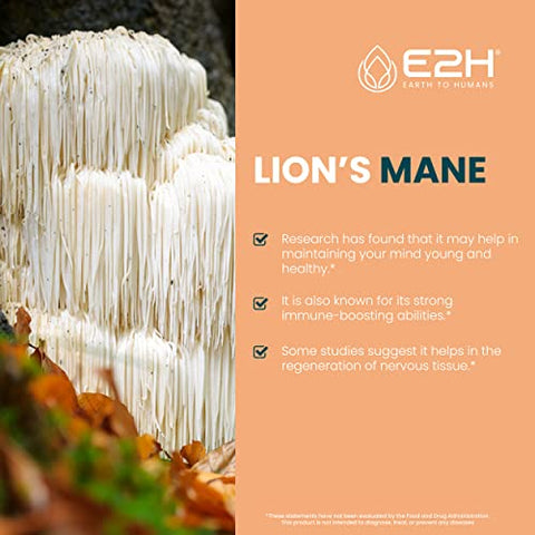 E2H EARTH TO HUMANS - Lions Mane Líquido – Suplemento de Cogumelo do Leão – Promove Clareza Mental, Memória – 30ml