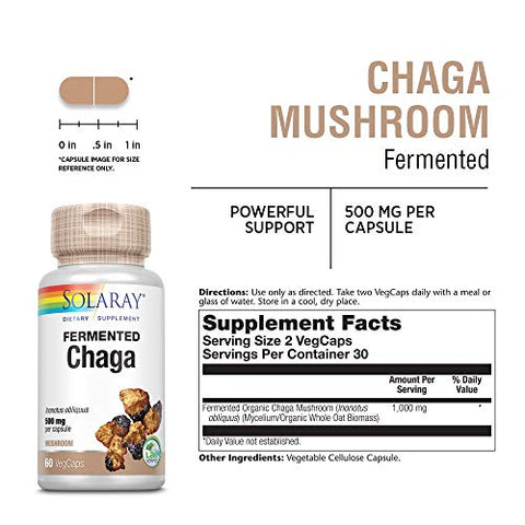 SOLARAY - Solaray Chaga Mushroom Fermentado 500 mg | Suporte à Função Imunológica Saudável | 30 Porções | 60 VegCaps