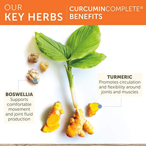 Curcumin Complete – Suporte Articular e Flexibilidade Ótima – 60 Cápsulas - Himalaya