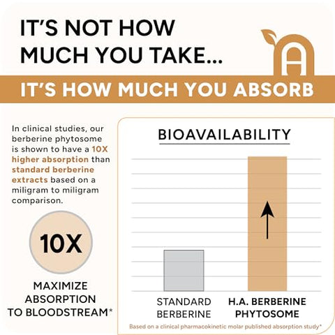 Natural Approach - Berberina Fitosomo de Alta Absorção – 10X Mais Biodisponível | Suporte Metabólico para Mulheres | Marca: High Absorption