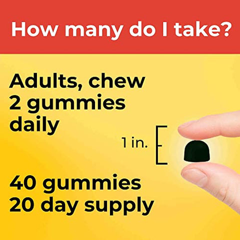 Gomas Veganas de Colina – Suporte à Saúde do Fígado, Sistema Nervoso e Cérebro – 40 Unidades – 20 Dias de Fornecimento - Nature Made