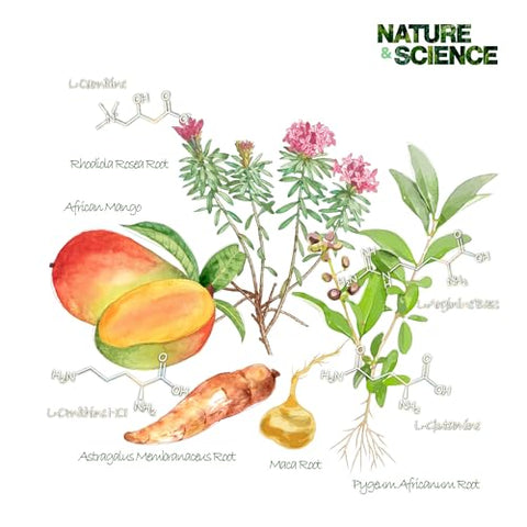 DOCBELLA - Gotas de Dieta Herbal com Manga Africana, Complexo de Aminoácidos, Livre de HCG e Hormônios, Fabricado nos EUA