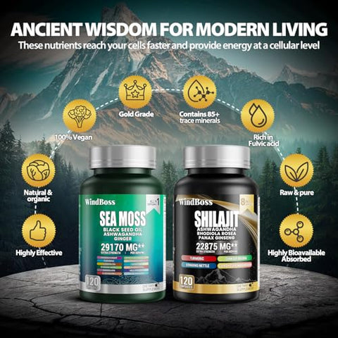 Pacote Sea Moss e Shilajit – 120 Unidades – Seamoss 7000mg, Óleo de Semente Preta 4000mg, Ashwagandha 2000mg, Gengibre – 100% Natural e Potente - WindBoss