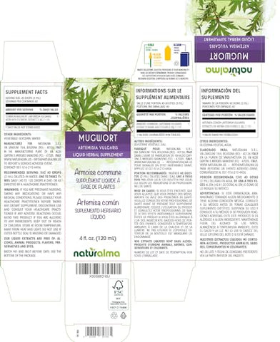 Artemísia Vulgaris Erva com Flores Tintura sem Álcool – Extrato Líquido em Gotas 118 ml – Suplemento Herbal Vegano - Naturalma