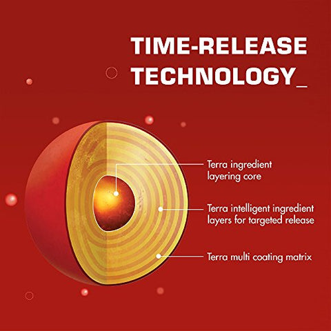 ORB Wellness - ORB Smooth Energy Complex – Fórmula Energética de Óleo MCT para Absorção Mais Fácil | Proporciona Energia Suave Sustentada, Suporta um Estado Mental Alerta, Beadlets de Liberação Gradual para