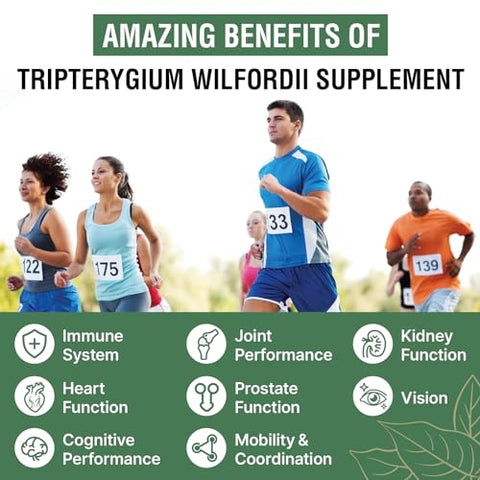 Rosmolo - 1200 MG Extrato de Raiz de Thunder God Vine 20:1, Suplemento Herbal Tripterygium Wilfordii, Fórmula Vegana com Extrato de Lei Gong Teng, 60 Cápsulas