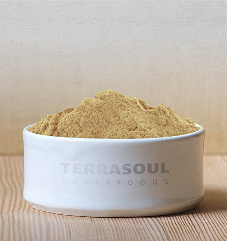 Amla Berry Powder Orgânico (Amalaki), 16 Oz – Rico em Vitamina C Antioxidante | Fortalece a Imunidade - Terrasoul Superfoods