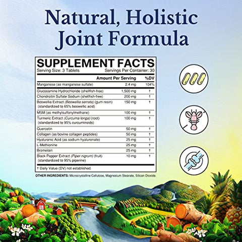 Glucosamina Condroitina MSM | Colágeno, Boswellia, Cúrcuma, Ácido Hialurônico, Bromelina | Fórmula Tripla de Ação para as Articulações | 12 Ingredientes Amorosos para as Articulações | 90 Comprimidos, Sem - VITALITOWN