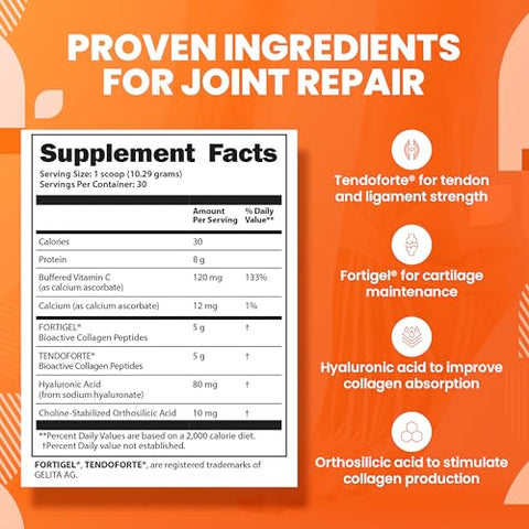 Pó de Síntese de Colágeno – Peptídeos de Colágeno para Recuperação das Articulações com Fortigel | SaltWrap - SaltWrap