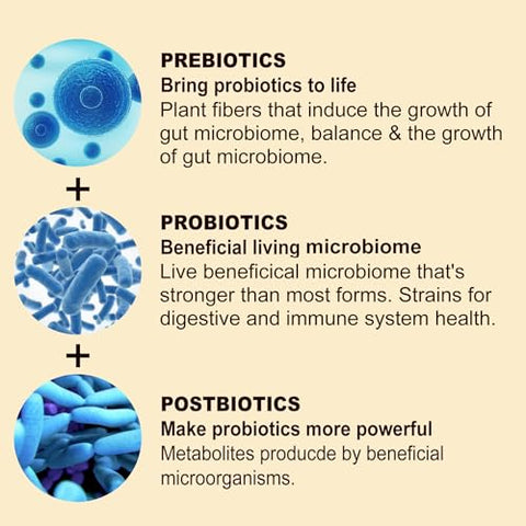 NEVISS - Gomas Recheadas de Cúrcuma Curcumina Sem Açúcar 550mg para Adultos, Gengibre 550g