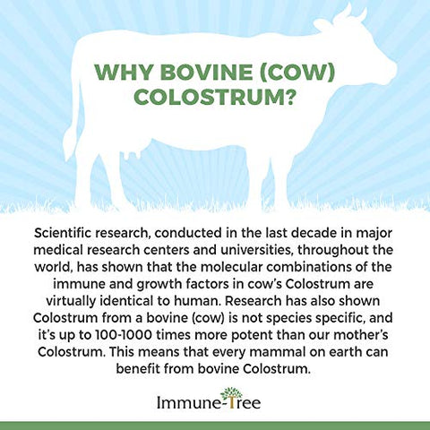 Immune-Tree - Pó de Colostro Bovino 100%%, 120 Porções, 185g, Suporte Anti-Envelhecimento, Sistema Imunológico Saudável, Intestino
