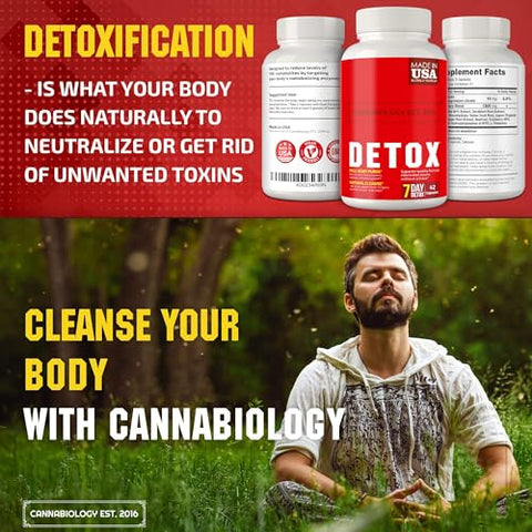 Desintoxicação Completa do Corpo – Suporte Natural e Saudável para Fígado, Trato Urinário, Rim e Sistema Digestivo – Fabricado nos Estados Unidos – 42 Cápsulas Veganas - CANNABIOLOGY EST. 2016