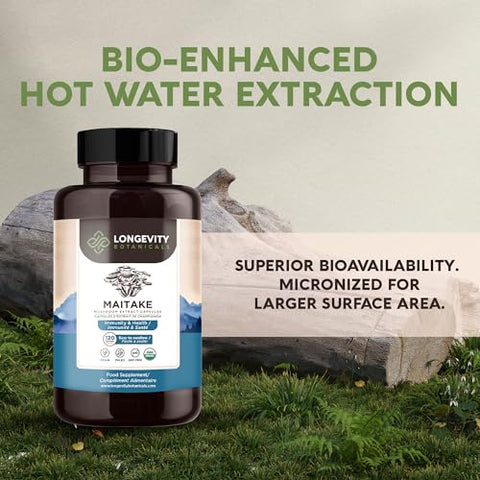 Cápsulas de Maitake Orgânico – Suplemento Ultra Concentrado de Maitake Promove um Sistema Imunológico Equilibrado – 100%% Corpo Frutífero – 120 Cápsulas - Longevity Botanicals