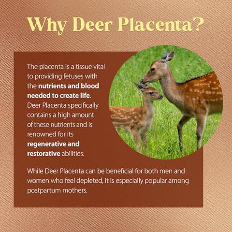 Cápsulas de Placenta de Veado Dragon Herbs | Suplemento de Placenta de Veado para Apoiar Rejuvenescimento, Regeneração e Produção de Sangue | Ingredientes Naturais, Não-OGM (60 Cápsulas, 500 mg)