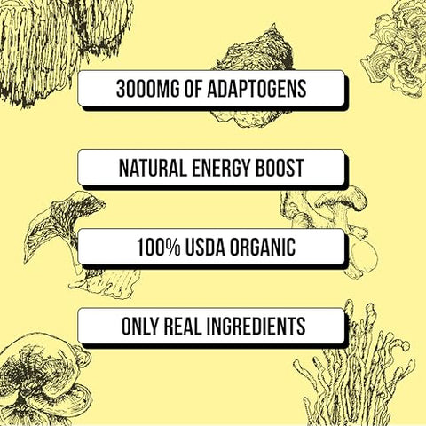 WISE BAR - Wise Bar – Barras Nutricionais de Cogumelos Adaptogênicos, Sabor Limão e Gengibre, 12 Unidades, Dose Diária de 3.000mg de Cogumelos Funcionais e Adaptógenos por Barra, Orgânico, Vegano e Livre de Glúten