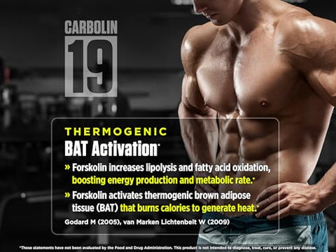 Carbolin 19 – Forskolin de Alto Desempenho (30 Dias de Fornecimento) 60 Softgels - Biotest