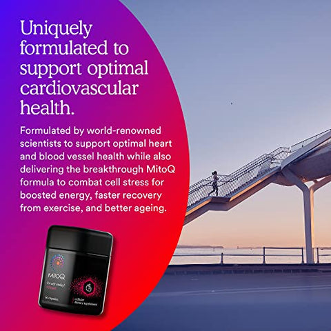 Heart Premium CoQ10 Antioxidante – Contém Mitoquinol Mesilato, Magnésio, L-Carnitina | 60 cápsulas - MitoQ