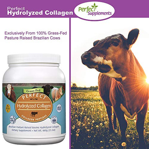 Pó de Colágeno Hidrolisado Perfeito – 660g – Colágeno Natural – Criado em Pasto Brasileiro – Promove Pele Saudável – Kit com 2 - Perfect Supplements