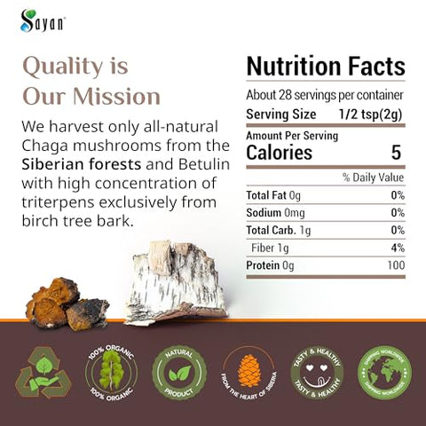 Extrato de Cogumelo Chaga Siberiano Sayan com Pó de Betulina (60 ml) – Mistura Antioxidante Orgânica – Suporte ao Sistema Imunológico