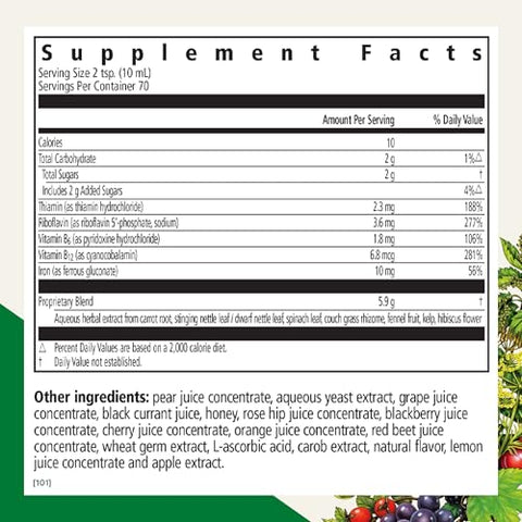 by Salus Iron: Fórmula de Ferro Líquido de Alta Absorção – 250ml - Floradix