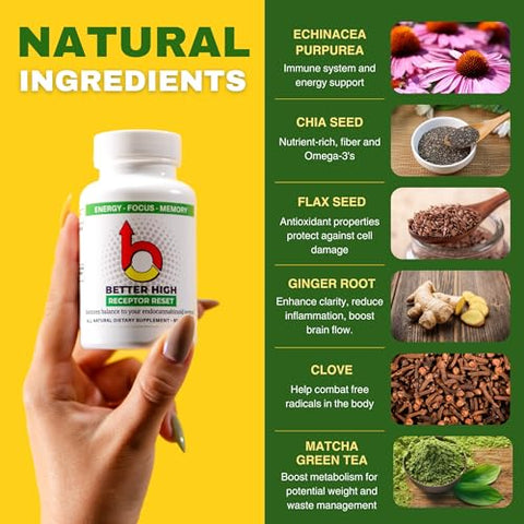 ODii - Cleanse Detox Refresh 900mg | 7 Dias de Desintoxicação | 6 Ingredientes Poderosos: Raiz de Gengibre, Semente de Chia, Linhaça, Cravo, Matcha Echinacea | Cápsulas Detox para Corpo Inteiro | Homens e Mulheres | Receptor