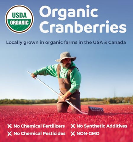 PURE CO - Pílulas de Cranberry Orgânico USDA – Concentrado 50:1 Equivale a 25.000mg de Cranberries Frescos (Vegano) para Saúde do Trato Urinário