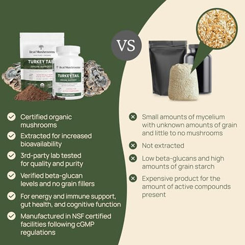 Pó de Cogumelo do Peru Real Mushrooms – Suplemento Orgânico de Cogumelo com Extrato Potente de Cogumelo do Peru para Intestino, Energia, Cérebro – 100g