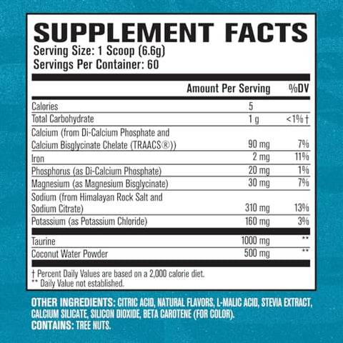 Jacked Factory - HYDRASURGE Pó de Eletrólitos – Suplemento de Hidratação com Minerais Essenciais, Sal do Himalaia, Água de Coco | Marca HYDRASURGE