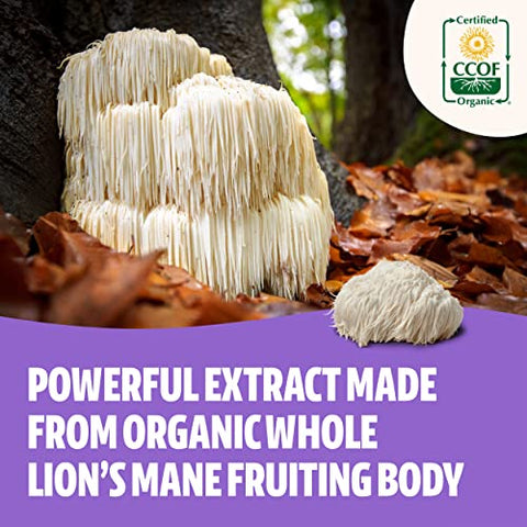 FreshCap Mushrooms - FreshCap Lions Mane – Cápsulas de Suplemento Ayurvédico Orgânico USDA Premium de Cogumelos Extraídos em Dupla – Testado por Terceiros – Corpo Frutífero Inteiro – Livre de OGM, Glúten e Vegano – 100% Natural