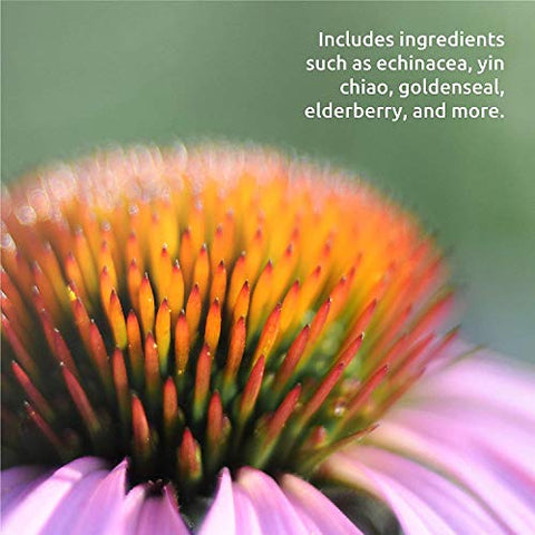 Herbal Resistance – Echinacea, Yin Chiao, Sabugueiro – 60 cápsulas - Source Naturals