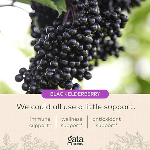 Black Elderberry Gummies Extra Forte – Delicioso Suporte Imunológico – Feito com Certificado Orgânico de Sambucus Nigra – Sistema Imunológico – 60 gummies - Gaia Herbs