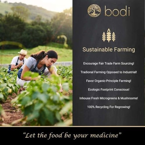 bodi - Bodi: Extrato em Pó de Hoodia Gordonii 20:1 | 113g a 2.268g | Puro Natural Livre de Químicos (454g)