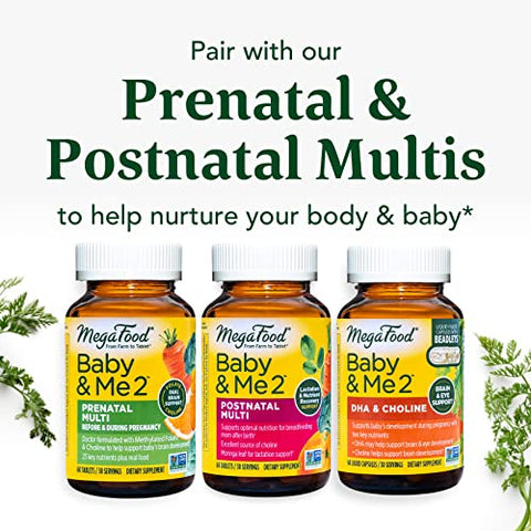 Baby: Suplemento Nutricional para Bebês – Fórmula Rica em Vitaminas e Minerais – 100% Natural e Orgânico – 120g - MegaFood