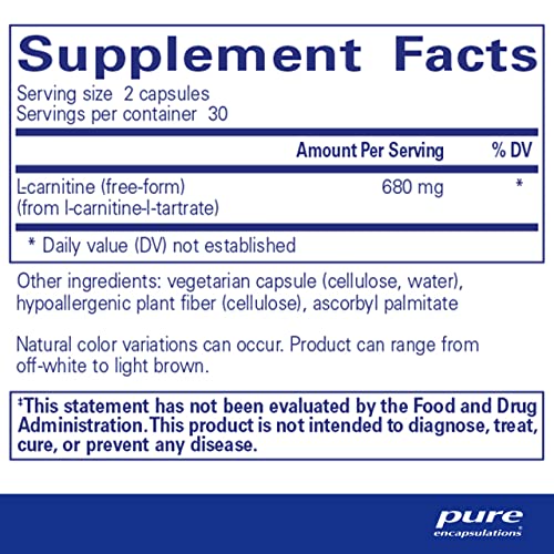 L-Carnitine | Suporte Cardiovascular e Resistência | 60 Cápsulas - Pure Encapsulations
