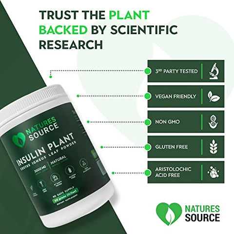 Nature's Source - Natures Source – Pó de Folha de Planta de Insulina (Costus Igneus) (1 Frasco) – 315g (Fornecimento de 90 Dias) – Feito nos EUA – Agora com Sabor Natural de Baunilha