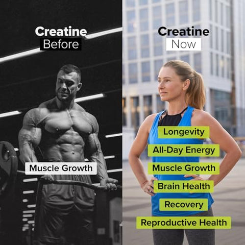 o em Pó Micronizado de Creatina Monohidratada para Mulheres e Homens (5g por porção, 60 Porções) Pré-Treino, Recuperação Muscular Pós-Treino, Saúde Cerebral, Longevidade – Vegano - Complement