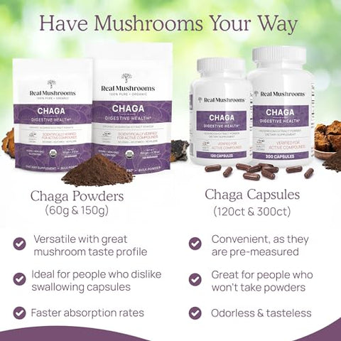 Chaga – Cápsulas Orgânicas de Cogumelo com Extrato de Chaga – Pó de Cogumelo Chaga para Digestão e Energia - Real Mushrooms