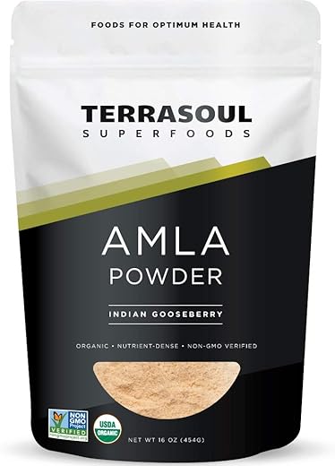 Amla Berry Powder Orgânico (Amalaki), 16 Oz – Rico em Vitamina C Antioxidante | Fortalece a Imunidade - Terrasoul Superfoods