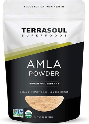Amla Berry Powder Orgânico (Amalaki), 16 Oz – Rico em Vitamina C Antioxidante | Fortalece a Imunidade - Terrasoul Superfoods