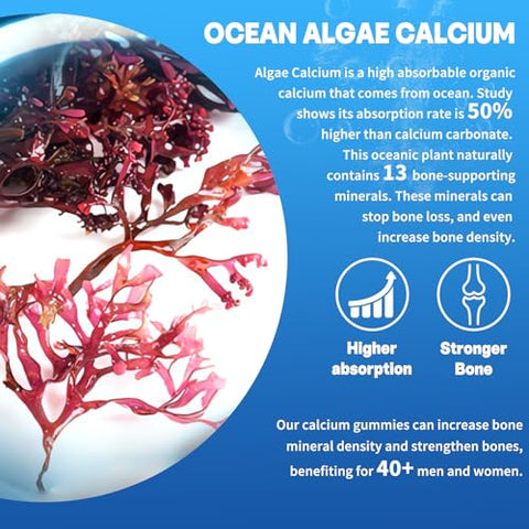 envycure - Suplemento de Cálcio à Base de Algas 600mg, Cálcio de Algas Oceânicas com Vitamina D3, K2, Magnésio, B6, B12 para Fortalecimento Ósseo, Suplemento de Cálcio e Magnésio à Base de Plantas, Sem Açúcar, Marca Ocean Algae