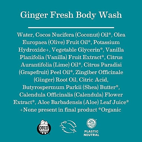 Sabonete Líquido de Gengibre Earth Mama para Pele Sensível – Óleo de Coco Orgânico, Manteiga de Karité, Calêndula – 100% Natural e Vegano