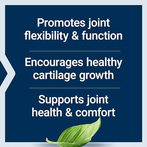 NT2 Collagen™: Suplemento para Conforto Articular e Saúde das Articulações | Marca Life Extension - Life Extension