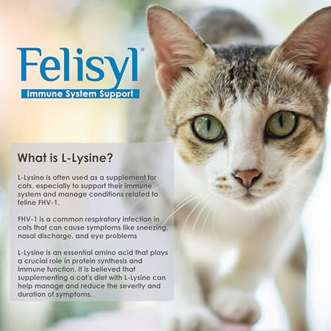 Felisyl - Gel de L-Lisina para Gatos – Suporte ao Sistema Imunológico – Suporte Suplementar para Tecidos Saudáveis, Respiração e Visão – Sabor Salmão – Fabricado nos EUA – 150g