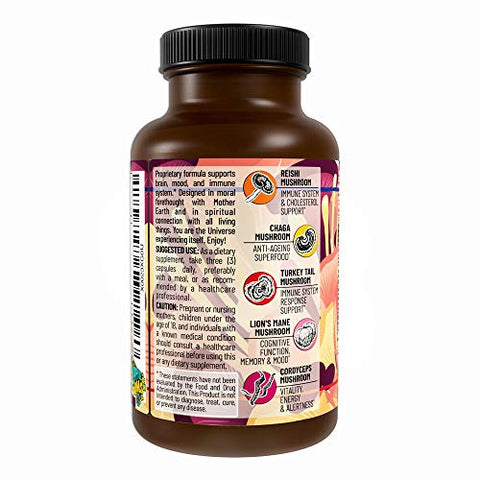 Hippie Farms - Blend de 5 Cogumelos Reserva – Leão da Montanha, Rabo de Peru, Reishi, Chaga, Cordyceps – Sistema Imunológico, Cérebro, Cognição, Energia, Suporte de Humor