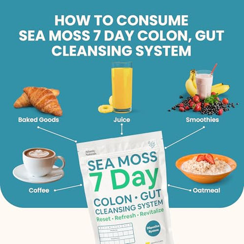 Limpeza de 7 dias com Sea Moss para o Cólon: Detox Natural e Saudável - Atlantic Naturals