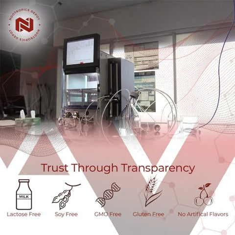 Cápsulas de Extrato de Tongkat Ali | 200mg | 60 Unidades | 2%% Eurycomanone por HPTLC | Extrato de Raiz de Eurycoma longifolia - Nootropics Depot