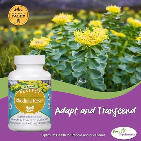 Perfect Supplements - Rhodiola Rosea Perfeita para Melhor Foco, Energia e Alívio do Estresse – 3%% Rosavinas Ótimas para 1%% Salidroside, um Adaptógeno Natural ~60 Cápsulas Vegetais