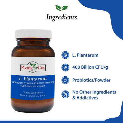Foods For Gut - Lactobacillus Plantarum Probiótico em Pó 400 Bilhões de UFC’s | Fabricado nos EUA | Sem Aditivos | Digestivo