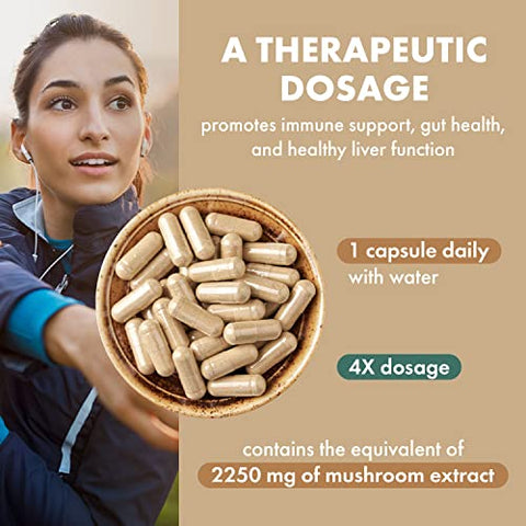 Extrato de Cogumelo Turkey Tail Orgânico 4X, Suplemento Vegano de Cogumelos para Fortalecimento Imunológico, 30 Cápsulas - PURE ESSENCE LABS
